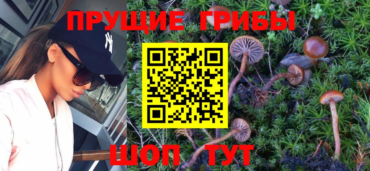 Галлюциногенные грибы GOLDEN TEACHER  купить  цена  Воронеж  Вход с VPN 