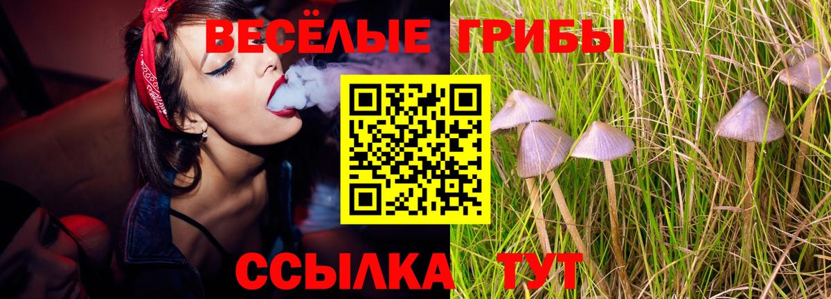 Псилоцибиновые грибы Psilocybine cubensis Воронеж